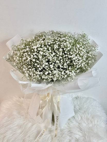 Baby Breath